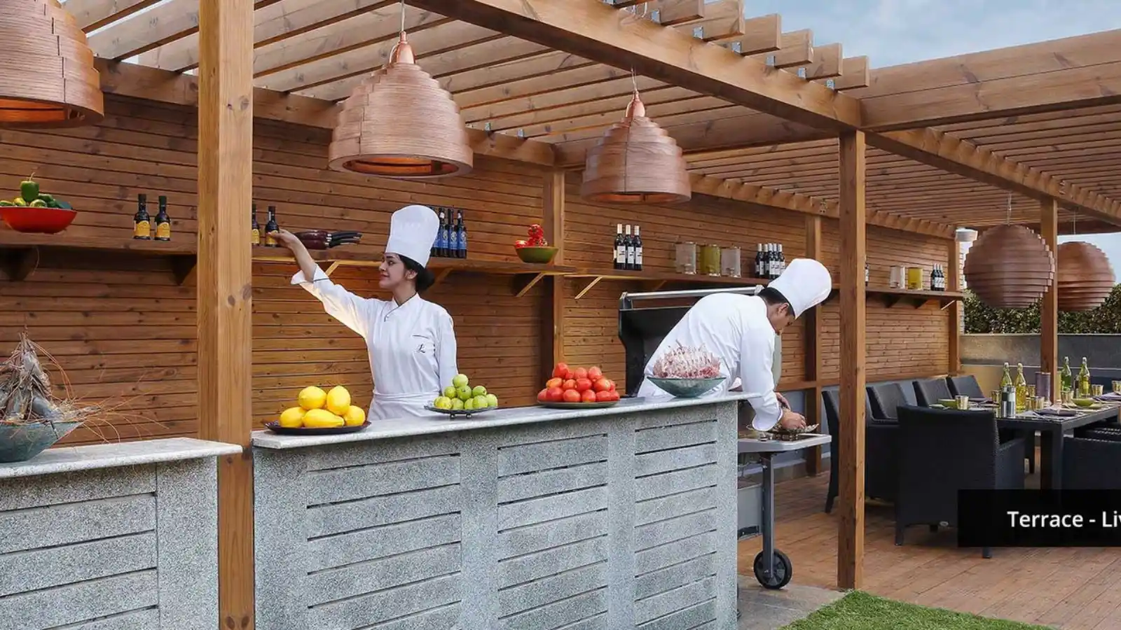 Ambience-Creacions-Apartment-and-Penthouse-In-Sector-22-Gurgaon-Terrace-live
